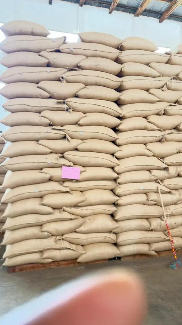 Large stack of coffee sacks
