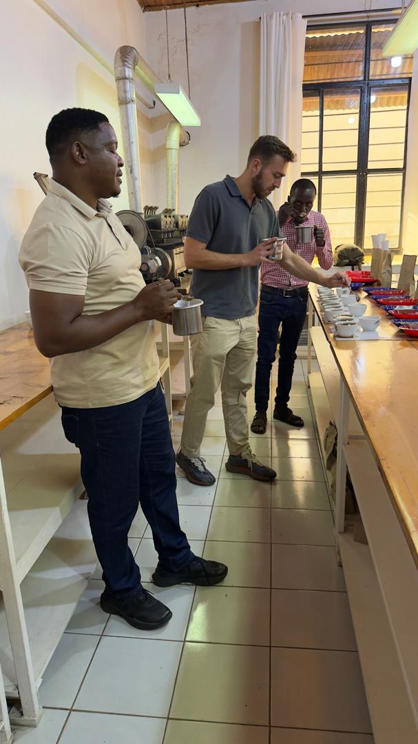 Coffee professionals evaluating samples in the Rocky Coffee cupping room