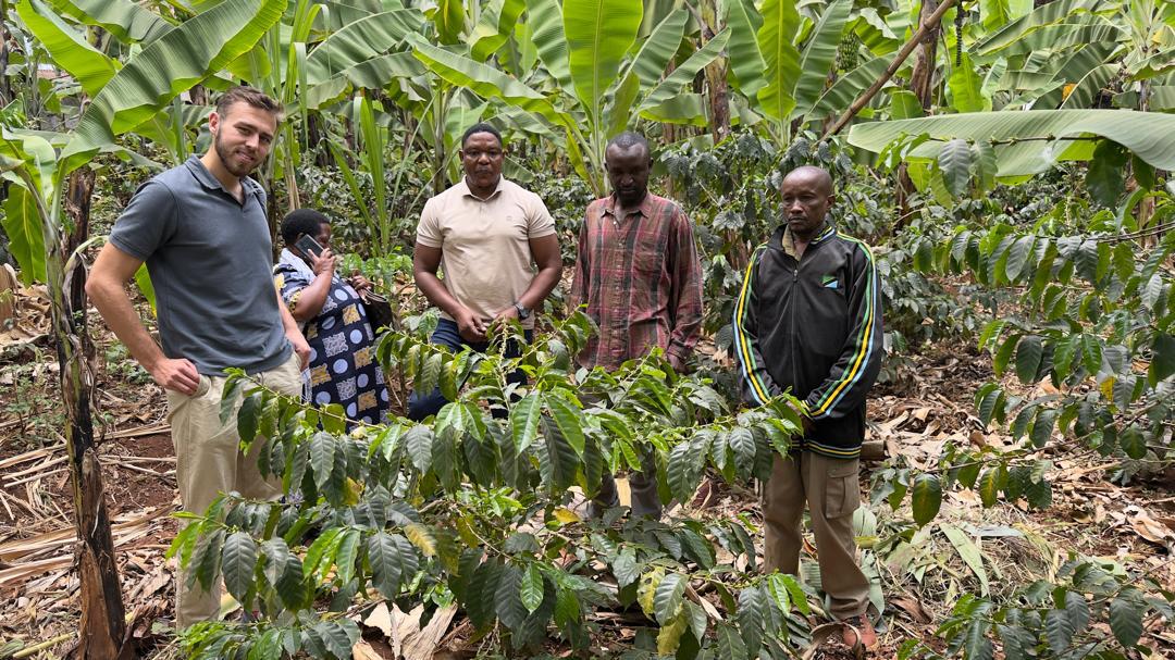 Rocky Coffee team and visitors among coffee plants in Kilimanjaro