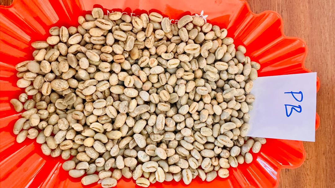 Green coffee sample
