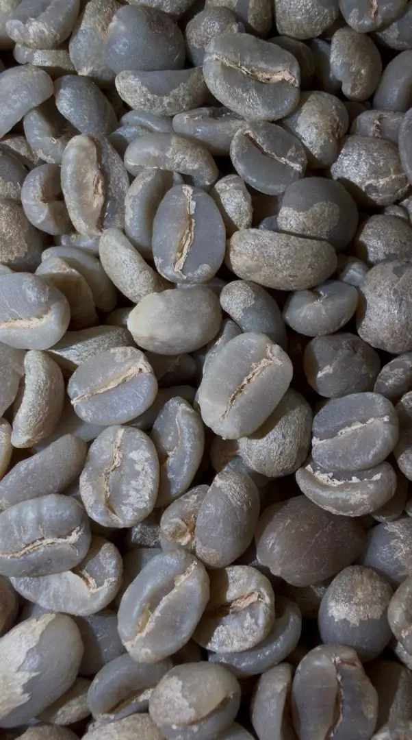 Green coffee beans