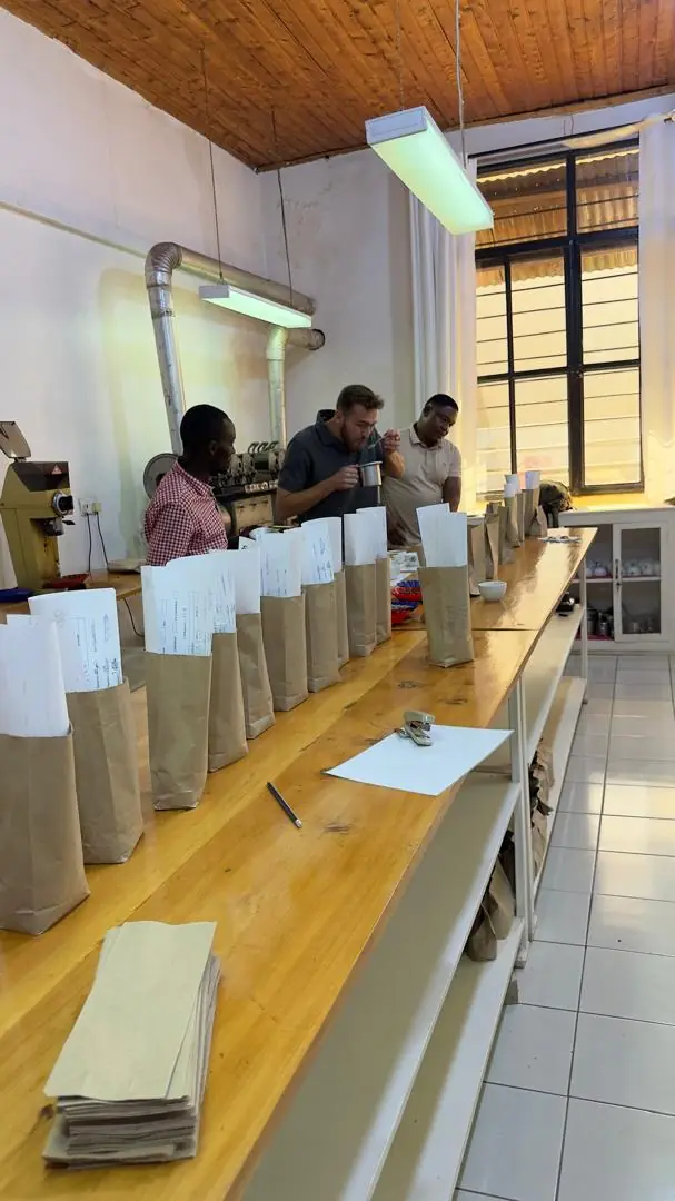Sample bags in a coffee lab